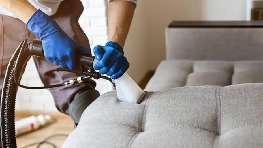 Essential Questions to Ask When Selecting Upholstery Cleaning Services