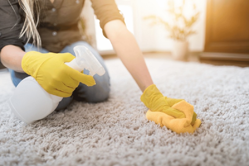 The Ultimate Guide to Carpet Cleaning Services: What You Need to Know