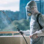 How to Choose the Right Pest Control Company in Singapore