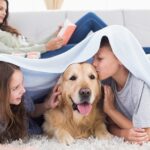 Creating a Pet-Safe Home Environment After Pest Control