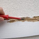 How Long Does A Typical Termite Inspection Take?