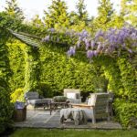 7 Stunning Residential Landscape Design Ideas to Transform Your Backyard