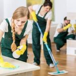 A Cleaner Home, A Healthier Life – Professional Cleaning in Bloomington