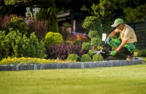 Lawn Care and Landscaping in Minneapolis: Creating Beauty in Every Season