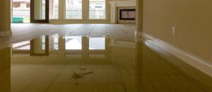 Benefits of Choosing Professional Water Damage Restoration Services