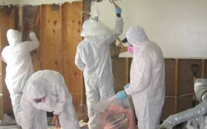 Critical Restoration When It Matters Most: Trusted Experts in Biohazard Cleanup
