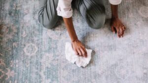 11 Natural Carpet Stain Removers for Chemical-Free Cleaning